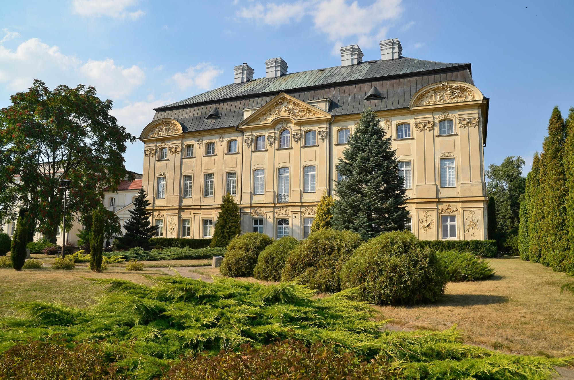 barokowy pałac z ozdobnymi fasadami i dużym ciemnozielonym świerkiem na pierwszym planie